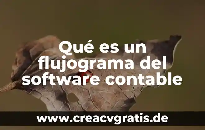 Qué es el método de registro contable 3 Qué es un flujograma del software contable