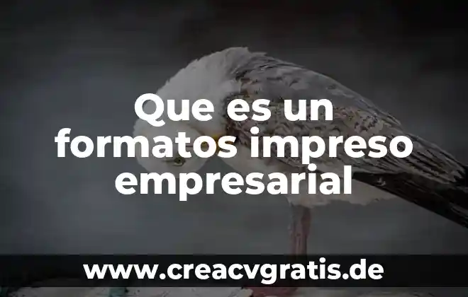 Que es lenguaje empresarial ejemplos 7 Que es un formatos impreso empresarial