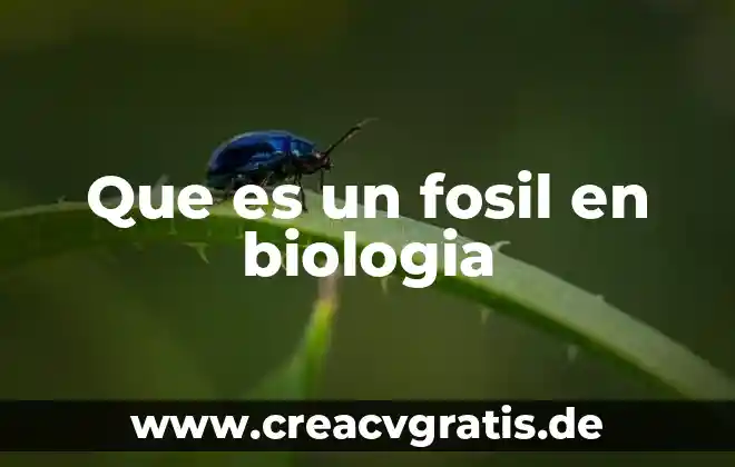 Muerte que es en biologia 6 Que es un fosil en biologia