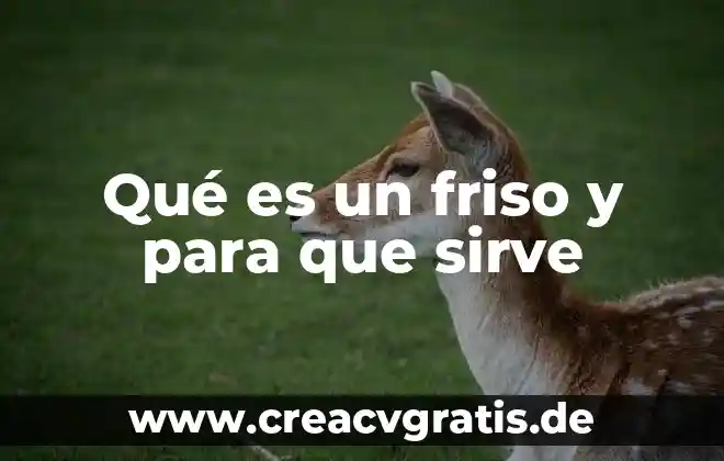 Que es una chinampa y para que sirve 5 Qué es un friso y para que sirve