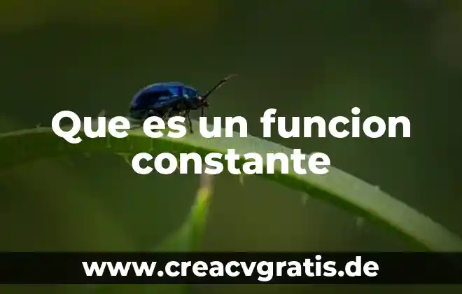 Que es el limite de una funcion constante 4 Que es un funcion constante