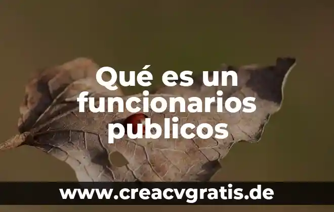Por que es importante la limpieza en los espacios publicos 7 Qué es un funcionarios publicos