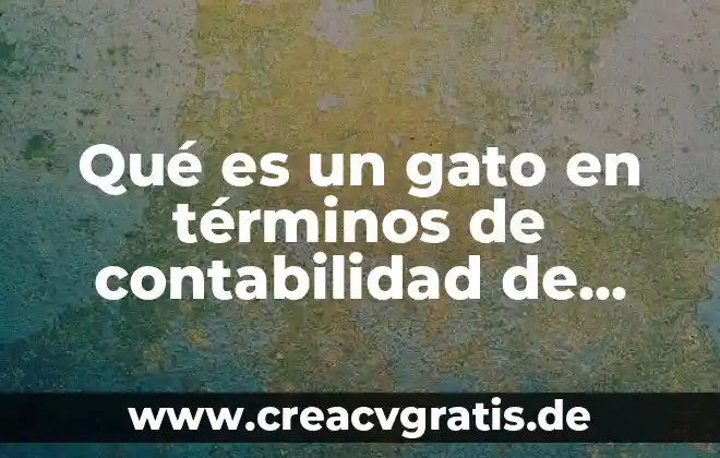 Que es un inventario en contabilidad de costos 5 Qué es un gato en términos de contabilidad de costos