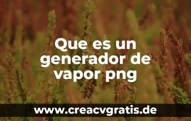 Qué es un generador sub combinado 6 Que es un generador de vapor png
