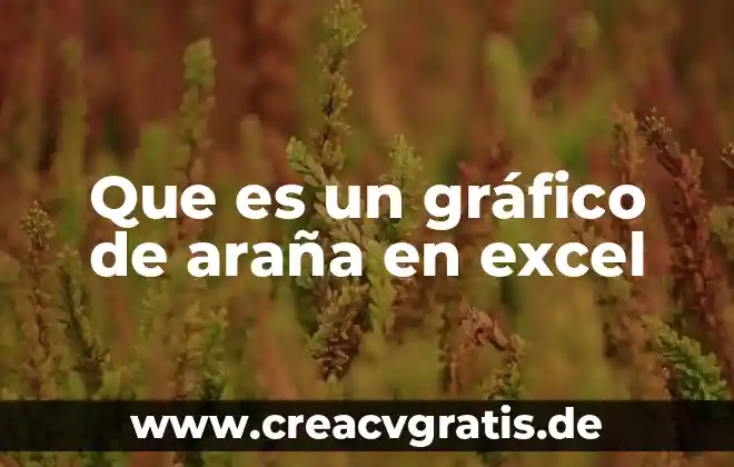 Qué es la araña más peligrosa del mundo 4 Que es un gráfico de araña en excel