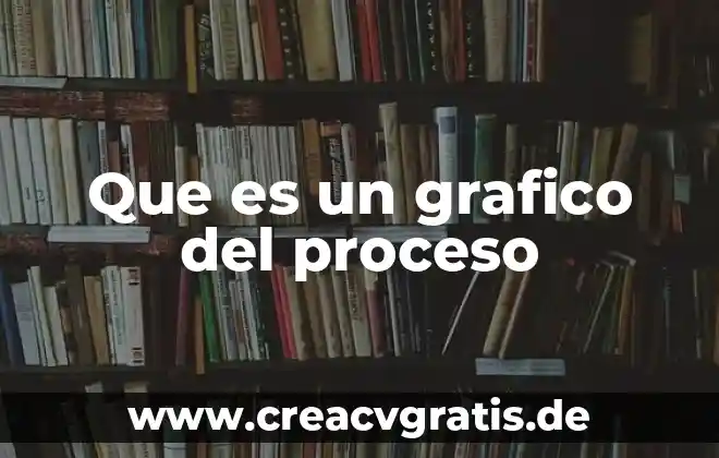 Defina que es la teoría general del proceso 4 Que es un grafico del proceso