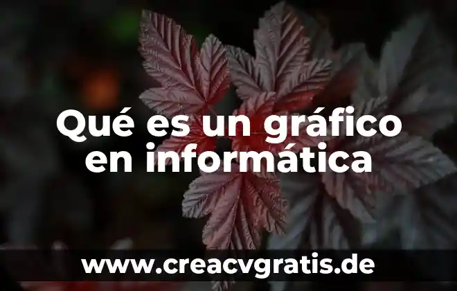 Qué significa o qué es un alfanumérico en informática 3 Qué es un gráfico en informática