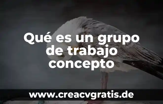 Que es circuncidado concepto 8 Qué es un grupo de trabajo concepto