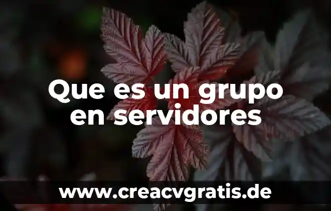 Grupo sicoss que es 5 Que es un grupo en servidores
