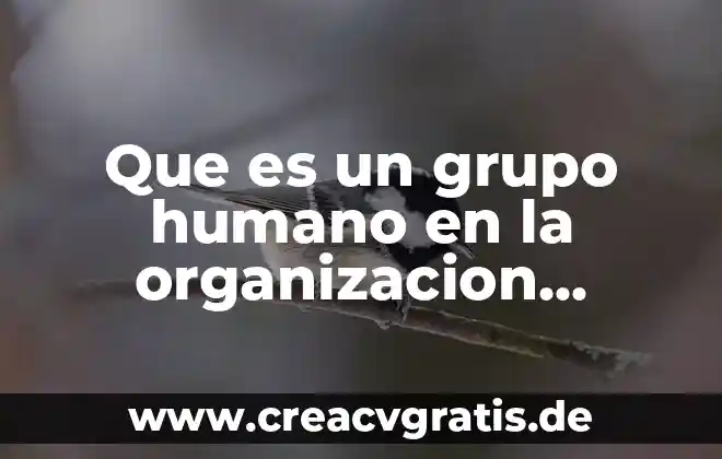 Qué es una premisa lógica matemática 8 Que es un grupo humano en la organizacion social