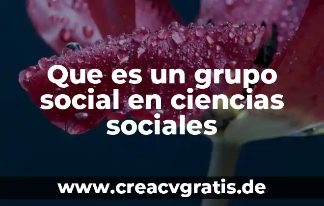 Que es un su significado tipos de señalamientos sociales 8 Que es un grupo social en ciencias sociales