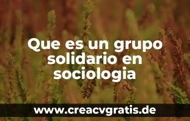 ¿Qué es la psicología y qué es sociología? 4 Que es un grupo solidario en sociologia