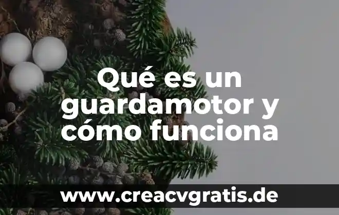 Qué es una cuña y como funciona 5 Qué es un guardamotor y cómo funciona