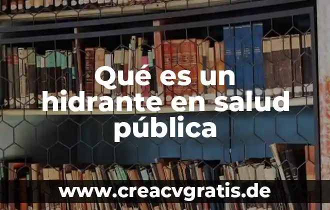 Que es la cuenta pública municipal 2019 5 Qué es un hidrante en salud pública