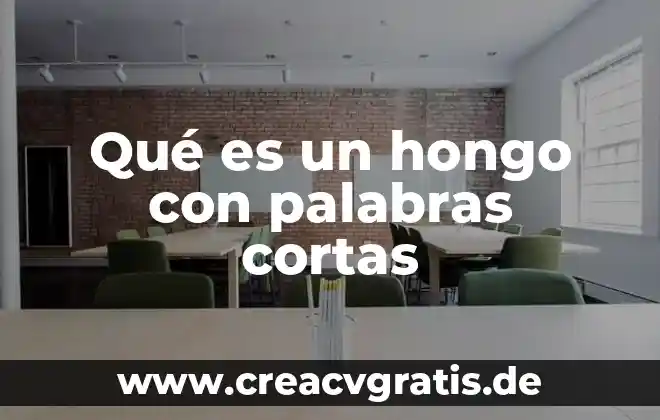 Que es una expresion algebrqica en pocas palabras 3 Qué es un hongo con palabras cortas