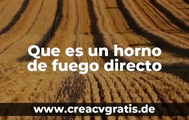 Qué es un discurso directo y para qué sirve 3 Que es un horno de fuego directo