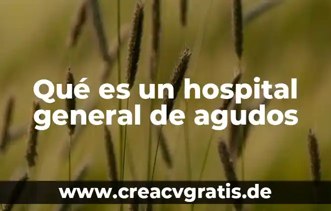 Que es significa amor fraternal 8 Qué es un hospital general de agudos