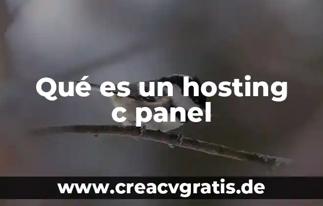 Que es un panel y sus elementos 6 Qué es un hosting c panel