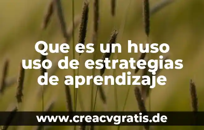Que es el uso y reuso del agua 6 Que es un huso uso de estrategias de aprendizaje