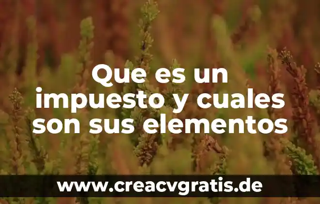 Qué es la electrónica y cuáles son sus tipos 5 Que es un impuesto y cuales son sus elementos