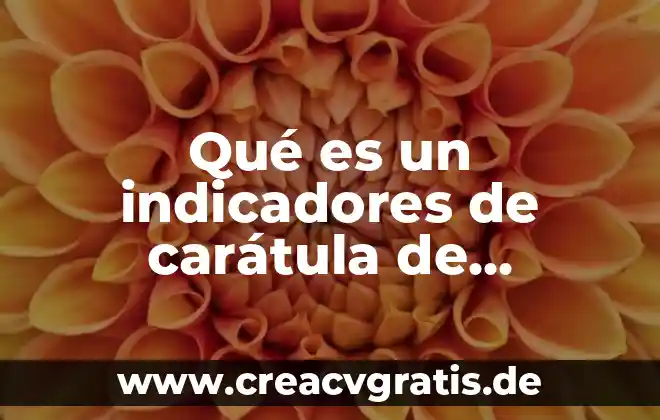 Que es una caratula para celular 3 Qué es un indicadores de carátula de vástago estandar