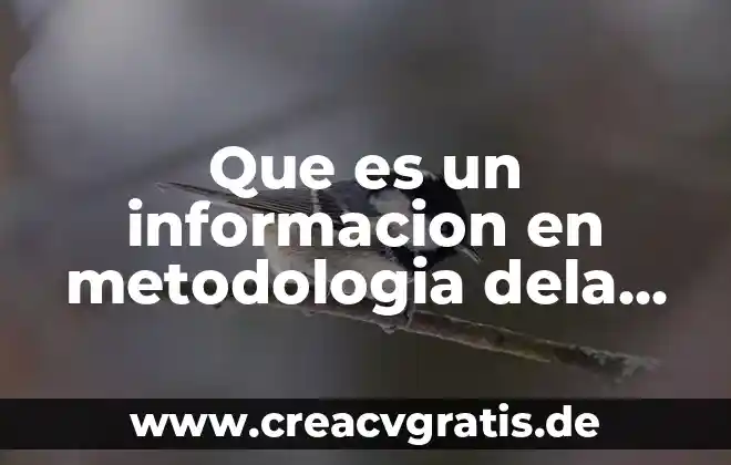 Que es el diseño experimental de la investigacion 8 Que es un informacion en metodologia dela investigacion