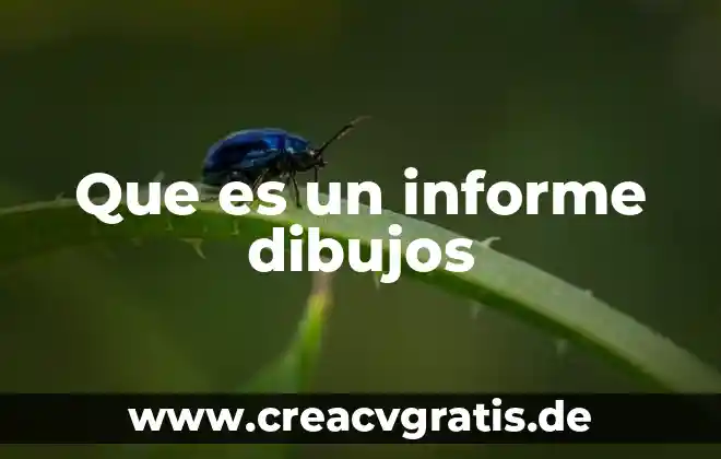 Que es un informe parcial en secundaria 4 Que es un informe dibujos