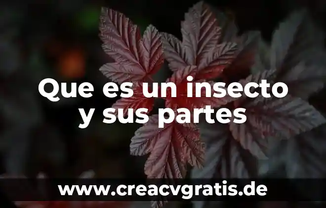 Qué es la flor y sus partes gladiola 6 Que es un insecto y sus partes