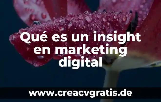 Qué es interactividad en un texto digital 4 Qué es un insight en marketing digital