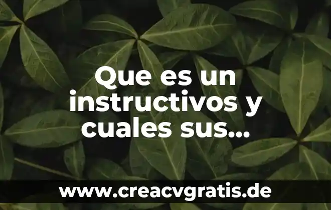 Qué es un ensayo características y tipos 6 Que es un instructivos y cuales sus caracteristicas