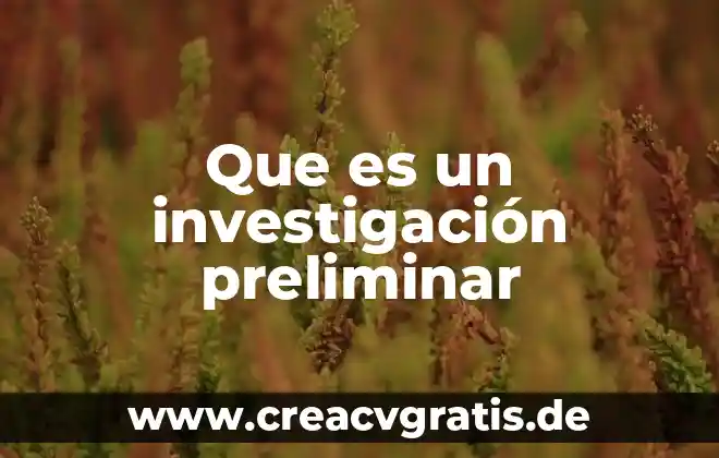 Que es investigacion tipos de investigacion 5 Que es un investigación preliminar