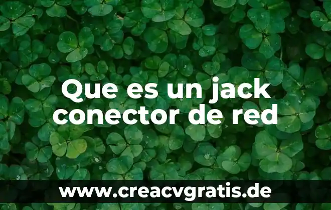 Qué es y cómo funciona una red WiFi 4 Que es un jack conector de red