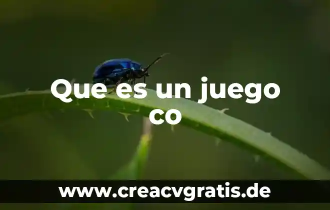 Competencia de lo que es juego 6 Que es un juego co