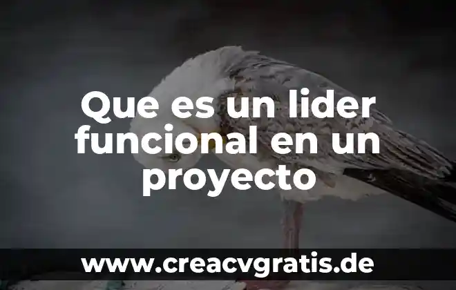 Que es una linea de autoridad funcional en un organigrama 4 Que es un lider funcional en un proyecto
