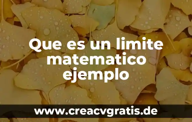 Que es el limite o frontera del sistema 3 Que es un limite matematico ejemplo