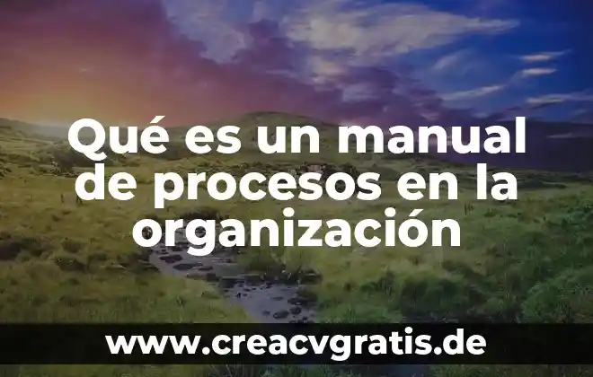 Que es mensaje en organizacion de la informacion 5 Qué es un manual de procesos en la organización