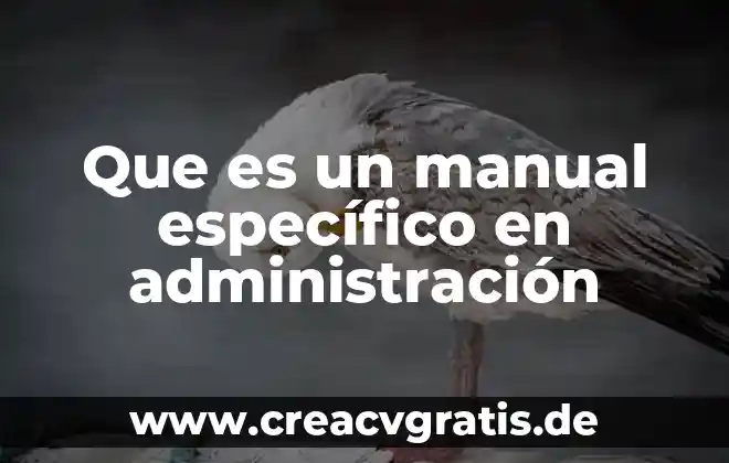 Que es problema especifico ubicacion curricular en la practica docente 6 Que es un manual específico en administración
