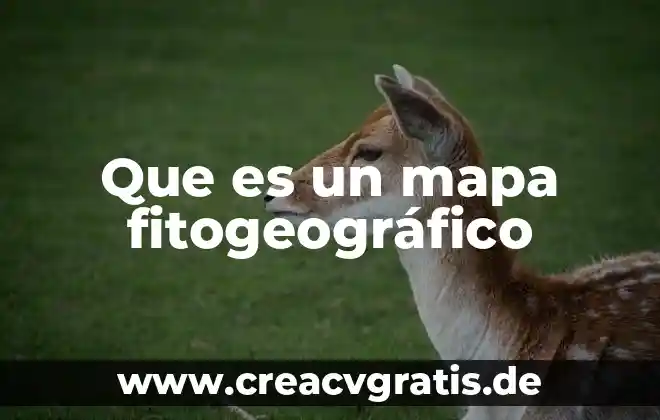 Que significa que es un mapa estatal 8 Que es un mapa fitogeográfico
