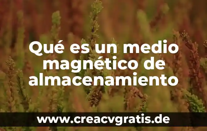 Que es un cargo magnético 6 Qué es un medio magnético de almacenamiento
