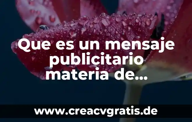Que es un esqueleto en la materia de español 4 Que es un mensaje publicitario materia de español para secundaria