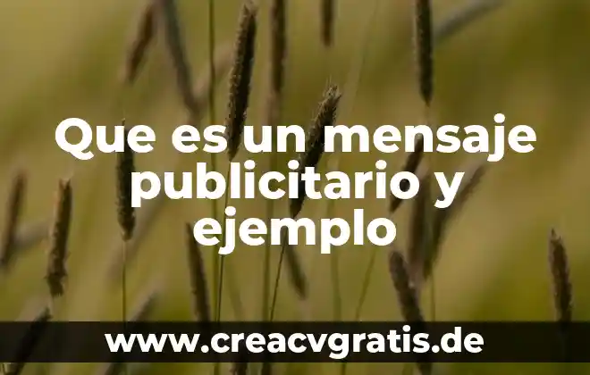 Que es empresas privadas en forma de sociedad 8 Que es un mensaje publicitario y ejemplo