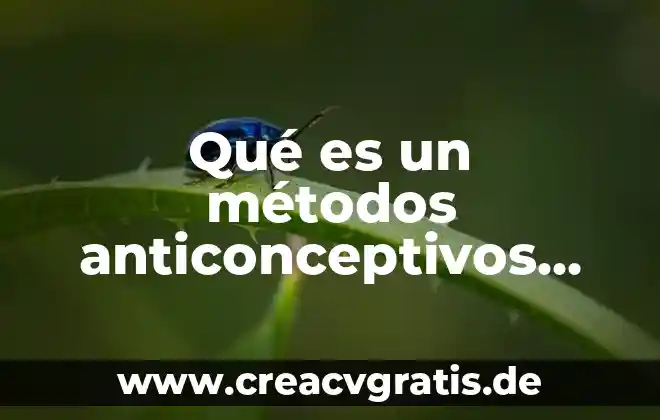 Que es metodos en algoritmos 3 Qué es un métodos anticonceptivos quirúrgicos