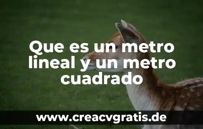 Línea del metro que es una bandera 6 Que es un metro lineal y un metro cuadrado
