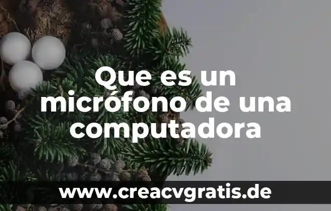 Que es ser un degenerado 4 Que es un micrófono de una computadora