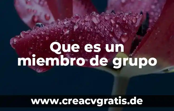 Que es un grupo en servidores 5 Que es un miembro de grupo