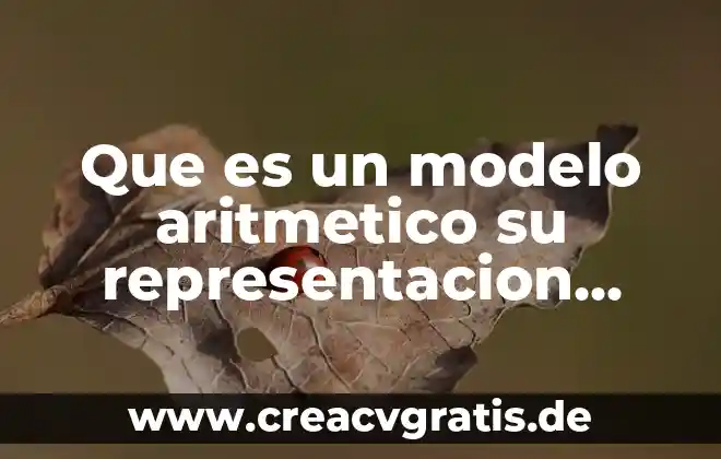 Qué es la representación de datos 4 Que es un modelo aritmetico su representacion grafica