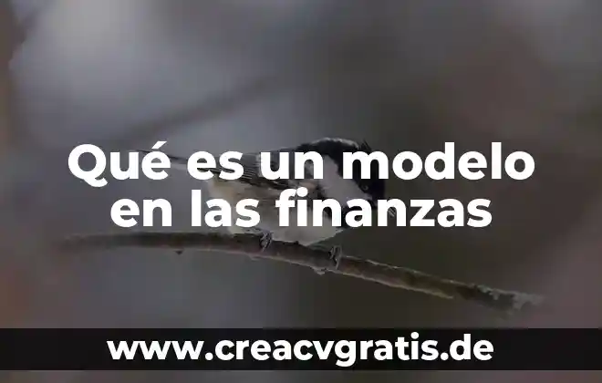 Qué es mejor para desinflamar nervio ciático frío o caliente 3 Qué es un modelo en las finanzas