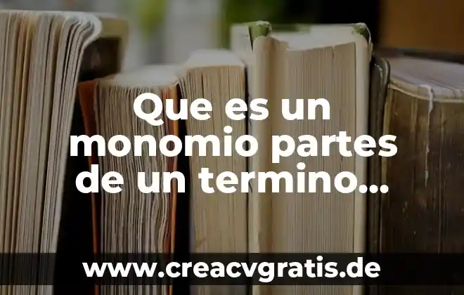 Que es un rumiante y sus partes 5 Que es un monomio partes de un termino algebraico