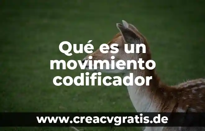 Que es el componente de la codificador en tecnologia 4 Qué es un movimiento codificador