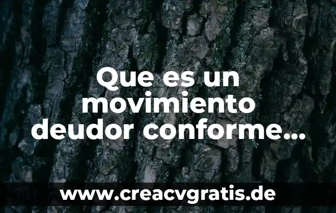 Que es nif de igualdad animal 5 Que es un movimiento deudor conforme a las nif